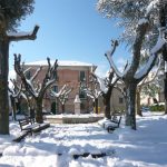 Neve 16 dicembre 2010 - VIDEO
