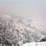 14/02/2012 Neve!