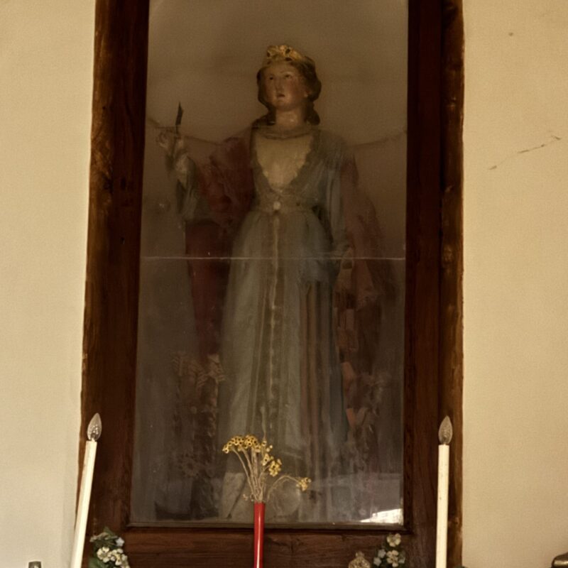 IMG_9668 IMG_9668
