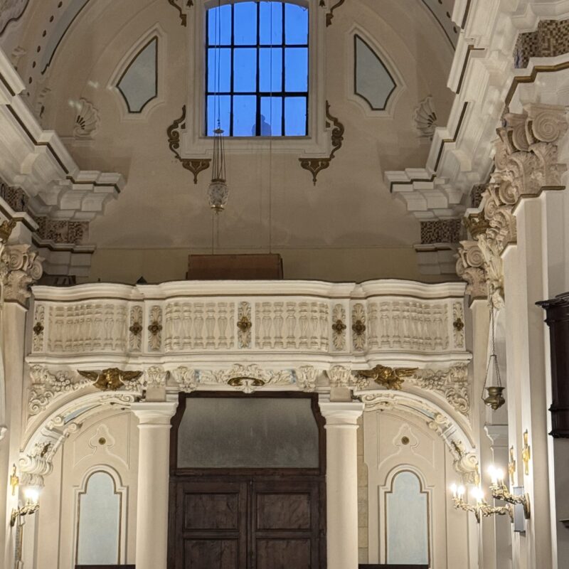 IMG_9687 IMG_9687